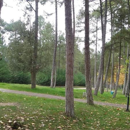Camping Caravaning Cuenca Κουένκα Εξωτερικό φωτογραφία