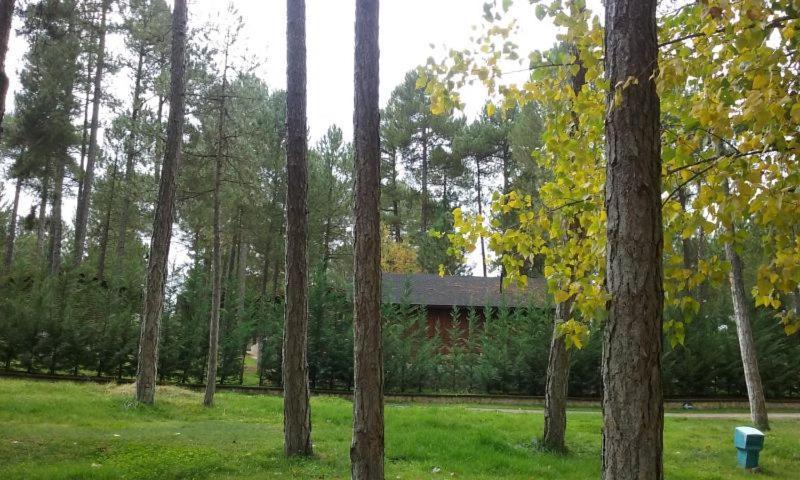 Camping Caravaning Cuenca Κουένκα Εξωτερικό φωτογραφία