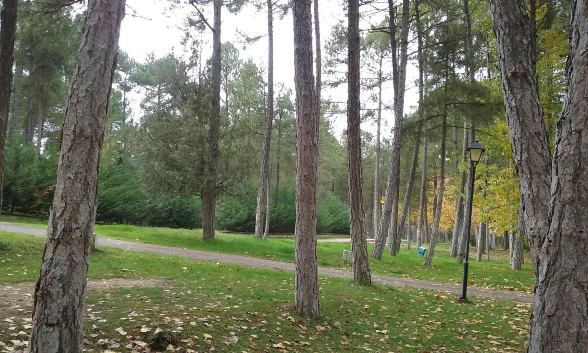 Camping Caravaning Cuenca Κουένκα Εξωτερικό φωτογραφία