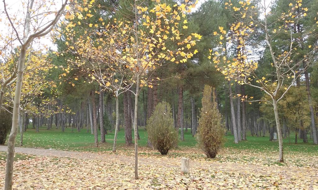Camping Caravaning Cuenca Κουένκα Εξωτερικό φωτογραφία